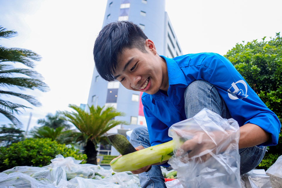 Sinh viên đội mưa giải cứu hàng tấn dưa chuột cho nông dân xứ Nghệ